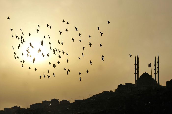 Gap Turu Diyarbakır Mardin Şanlıurfa Adıyaman Gaziantep