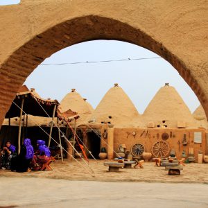 Gaziantep Şanlıurfa Mardin Diyarbakır Adıyaman Kahramanmaraş Adana